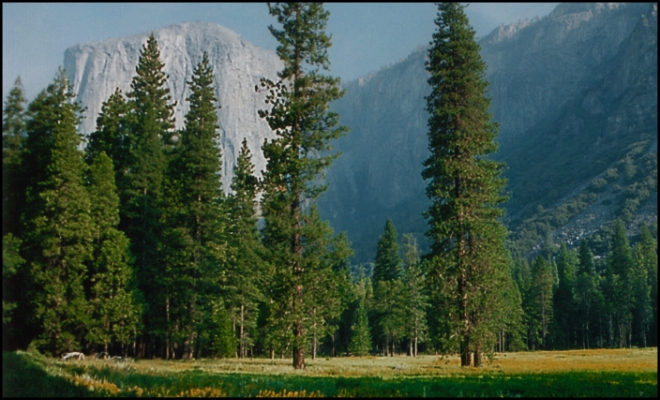 Yosemite National Park, California - USA